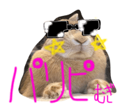 855385837