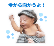 855386242