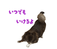 855386428