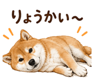 855386448