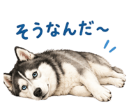 855386467