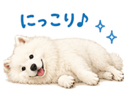 855386468