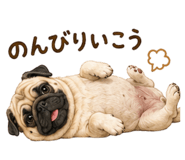 855386469