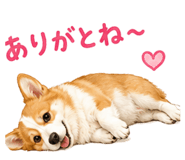 855386472
