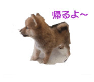 855386551