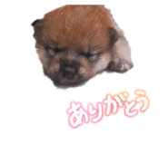 855386552