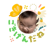 855386557