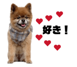 855386606