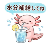 855387295