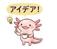 855387300