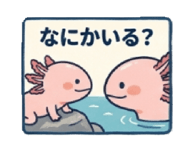 855387307