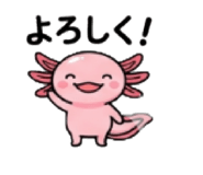 855387317