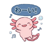 855387319
