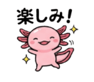 855387320