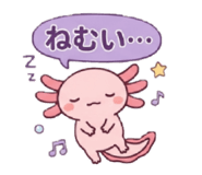 855387324