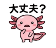 855387325
