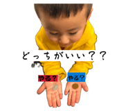 855387427