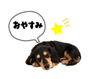 855387442