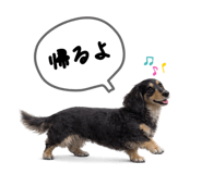 855387461