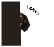 855387471