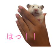 855387637