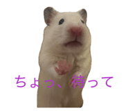 855387641