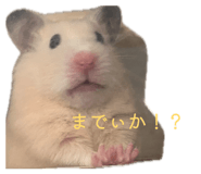 855387642