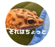 855387719