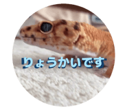 855387720
