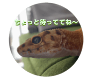 855387721