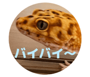 855387724
