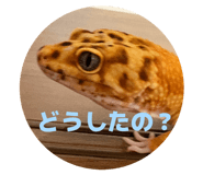 855387728