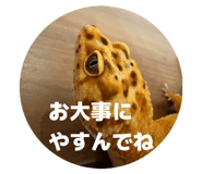 855387730