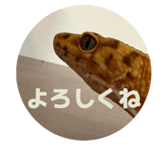 855387733