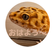 855387735