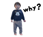 855387800