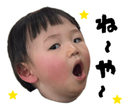 855387808