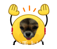 855388258