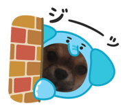 855388265