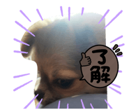 855388276