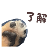 855388279