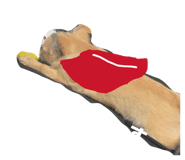 855388280