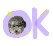 855388540