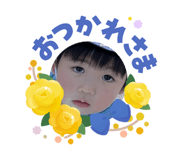 855388620