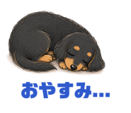 855390076