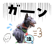 855390182