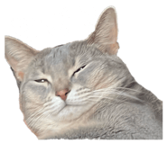 855390395