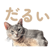 855390400