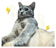 855390402