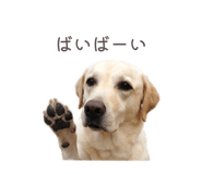 855391685